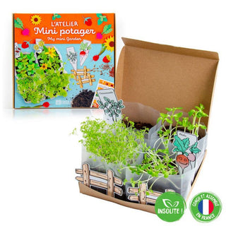 Coffret Mini Potager Bio