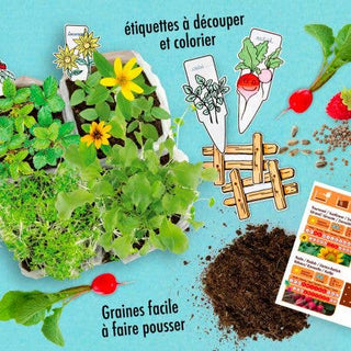 Coffret Mini Potager Bio