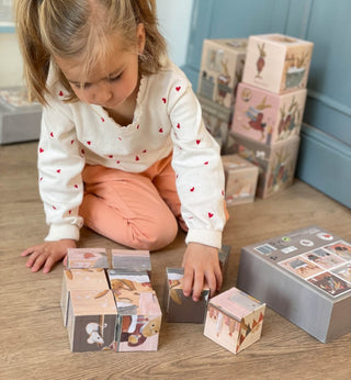 Puzzle cubes - Famille de lapin