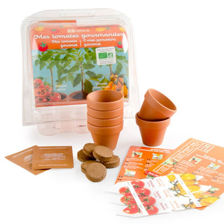 Serre 6 pots - Tomates Bio enfants