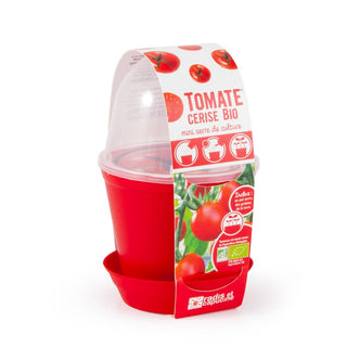 Pot Cloche - Tomate cerise bio