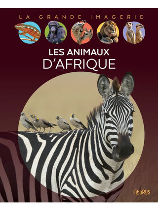 Les animaux d'Afrique