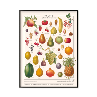 Planche Fruits Bibliothèque Nationale de France