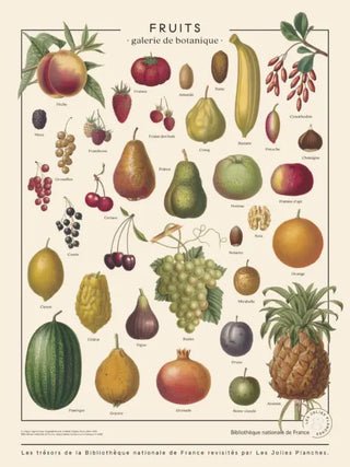 Planche Fruits Bibliothèque Nationale de France