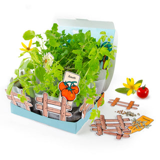 Coffret Mini Potager Bio