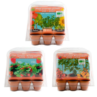 Serre 6 pots - Tomates Bio enfants