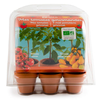 Serre 6 pots - Tomates Bio enfants