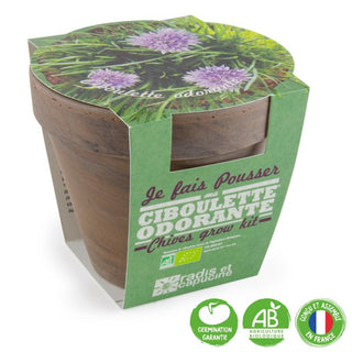 Ciboulette bio pot terre cuite basalte 13 cm